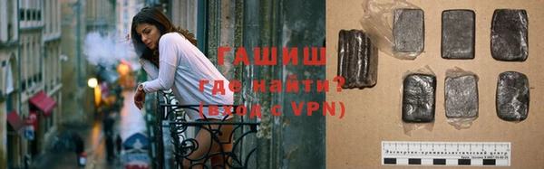 стаф Новодвинск