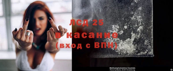 a pvp Новозыбков
