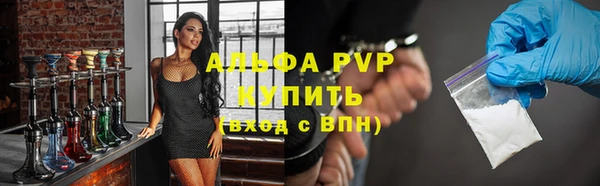 a pvp Новозыбков