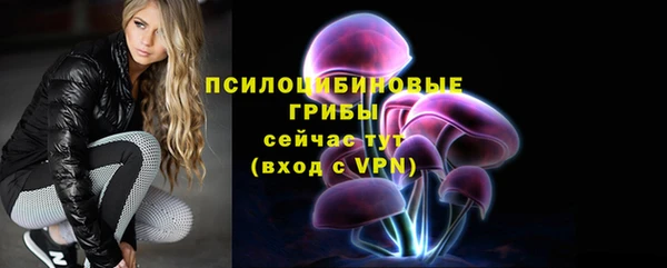 стаф Новодвинск