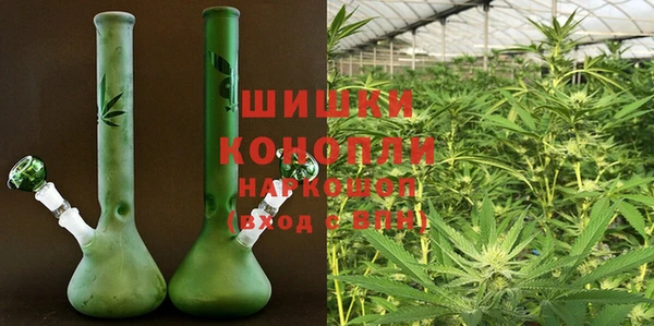 a pvp Новозыбков