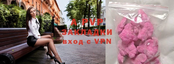 a pvp Новозыбков