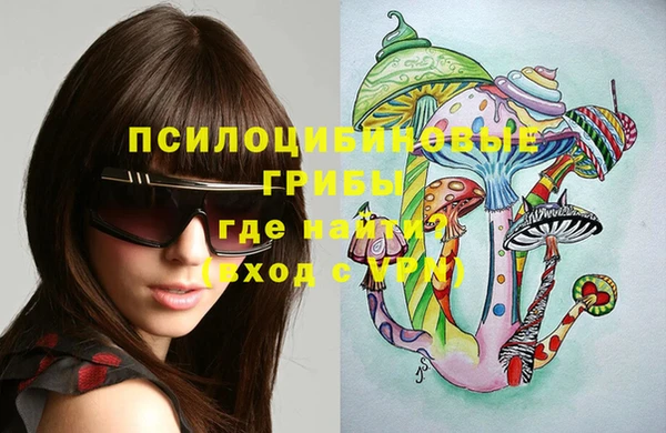 a pvp Новозыбков