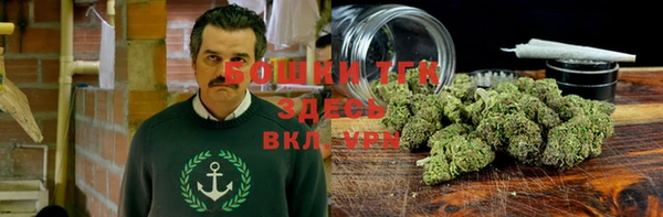 a pvp Новозыбков