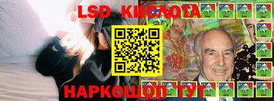 крисы Аргун