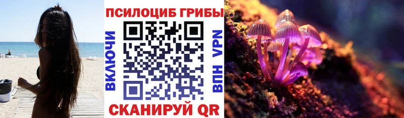 MEGA как зайти Заводоуковск Псилоцибиновые грибы MAGIC MUSHROOMS
