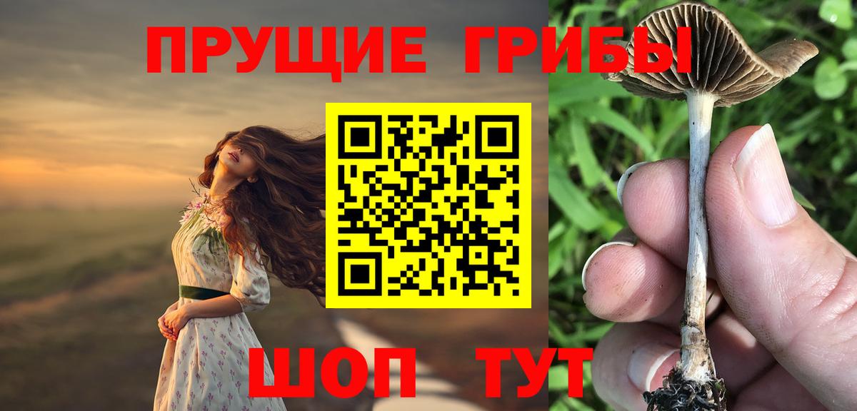 Заводоуковск  Псилоцибиновые грибы Magic Shrooms  Вход с VPN 